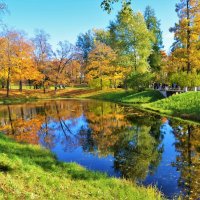 Золотая осень на "Продолговатом" пруду... :: Sergey Gordoff