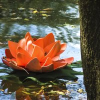 Искусственные  цветы на воде :: Валентин Семчишин