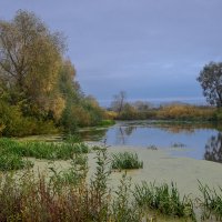 Старый пруд... :: Влад Никишин