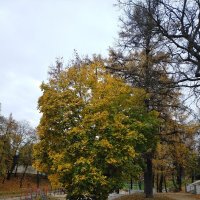 Осенний парк :: Yulia Raspopova