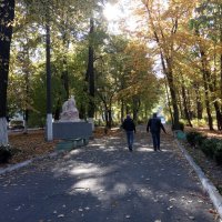 В осеннем парке (2) :: Елена Пономарева