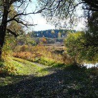 На берегу Днепра (репортаж из поездок по области). :: Милешкин Владимир Алексеевич 