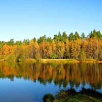 Осенний лес на берегу :: Андрей Снегерёв