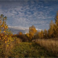 "По скошенной полосе в октябре"© :: Владимир Макаров