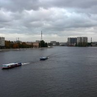 Нева с Володарского моста :: Наталья Герасимова