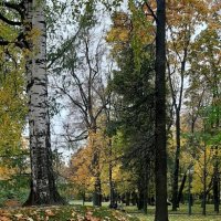 Осень в Михайловском саду :: Наталья Герасимова