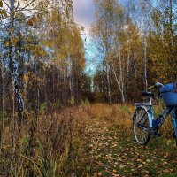 Портрет друга :: Андрей Лукьянов