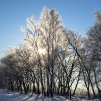 морозное утро :: Владимир Ноздрачев