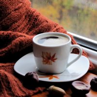 Осень.Дождь.Чашка кофе... :: Татьяна Гнездилова
