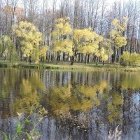 Акварель на воде. :: Мария Васильева