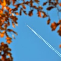 Самолётный след в осеннем небе. :: Татьяна Помогалова