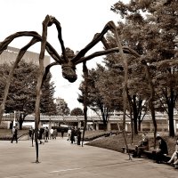 Токио Япония Roppongi Hills бронзовая скульптура паучихи "Maman" :: wea *