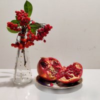 Рубином ягоды горят. :: Валентина Богатко 