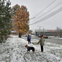 Первый снег :: Aquarius - Сергей