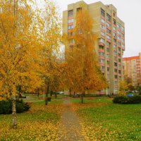 Осень в городе :: Ирина Олехнович