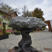 Дерево-камень :: Сеня Белгородский