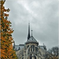 Notre Dame de Paris :: Aquarius - Сергей