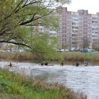 По Ижоре реке... :: Мария Васильева