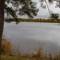 Осень на пруду :: Михаил Ильяшевич