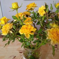 Букет желтых роз :: Нина Колгатина 