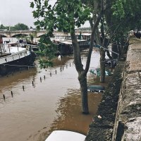 Наводнение  в Париже 2016г. :: ИРЭН@ .