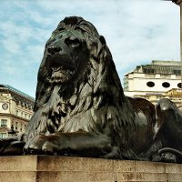 Лев на Трафальгарской пл. Лондон. :: Николай Рубцов