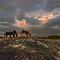 в летний вечер.. :: Виктор Перякин