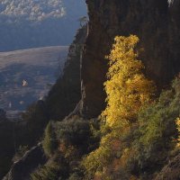 Осень в горах :: Хасан Журтов