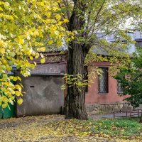 Осень в городе :: Константин Бобинский