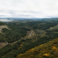 Пять овчарен) :: Лилия .