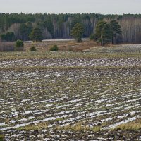 Вид на поля с останками первого снега :: Галина Кан