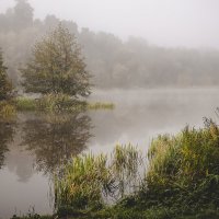 Осеннее утро :: Егор Афросимов