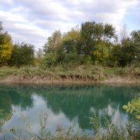 Осенняя палитра... середина октября, все в зеленых тонах... :: Надежда Куркина