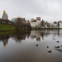 Новодевичий пруд :: Владимир Машевский