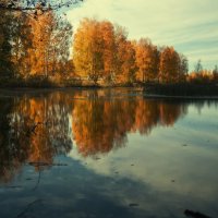 Осень :: Тимур Кострома ФотоНиКто Пакельщиков