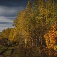 "Оглядываясь на золотую осень"© :: Владимир Макаров