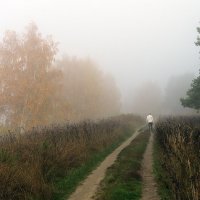 Утро туманное, по дороге вдоль берега Волги :: Николай Белавин