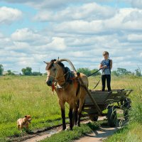 В дни школьных каникул :: Дмитрий Конев