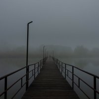Мост в туман. :: Александр Редько