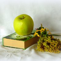 Зелёное яблоко. :: nadyasilyuk Вознюк