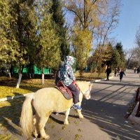 Almaty.  Zoo. :: Murat Bukaev 