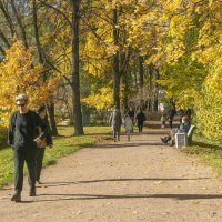Прогулка по парку в последние дни золотой осени :: Стальбаум Юрий 