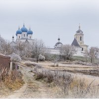 Серпуховский Высоцкий монастырь :: Татьяна repbyf49 Кузина