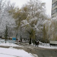 Первый снег :: Геннадий Худолеев Худолеев