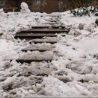 После снегопада :: Александр Тарноградский