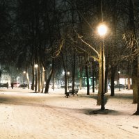 Под первым снегом :: Екатерина Кучко