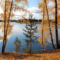 Осень необыкновенная красавица :: tamara kremleva