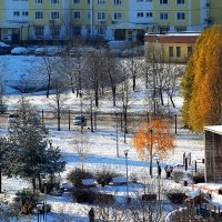 Зима окружила. :: Татьяна Помогалова