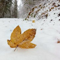 осень и зима :: Heinz Thorns