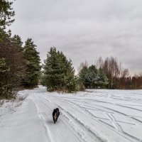 Осенний снег # 04 :: Андрей Дворников